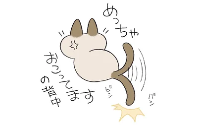 怒ってますの背中