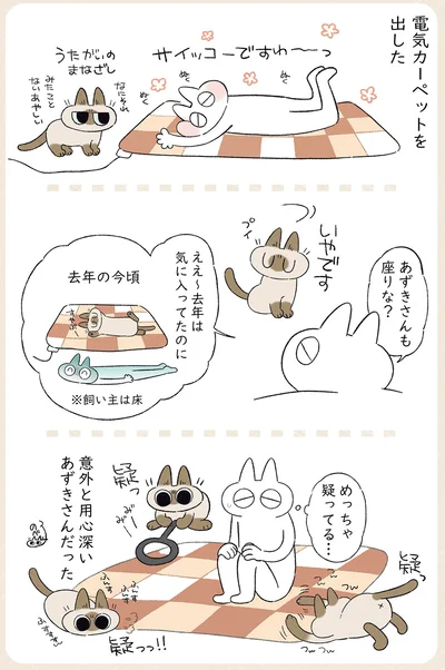 めっちゃ疑ってる…