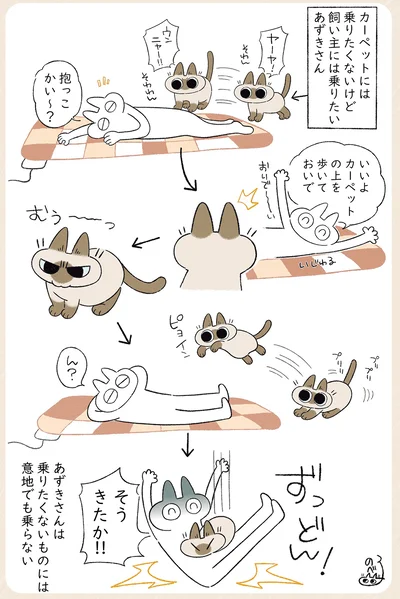 意地でも乗らない