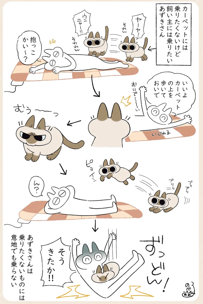 意地でも乗らない