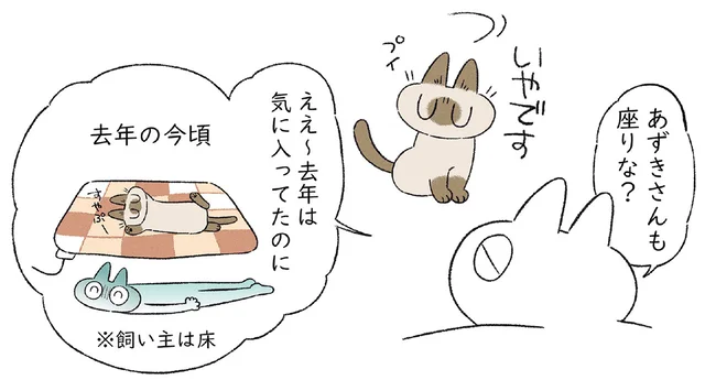 去年は気に入っていたのに！ 電気カーペットに疑いの目を向け続ける猫