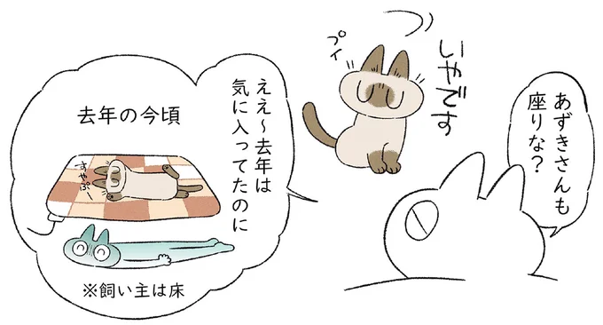 去年は気に入ってたのに