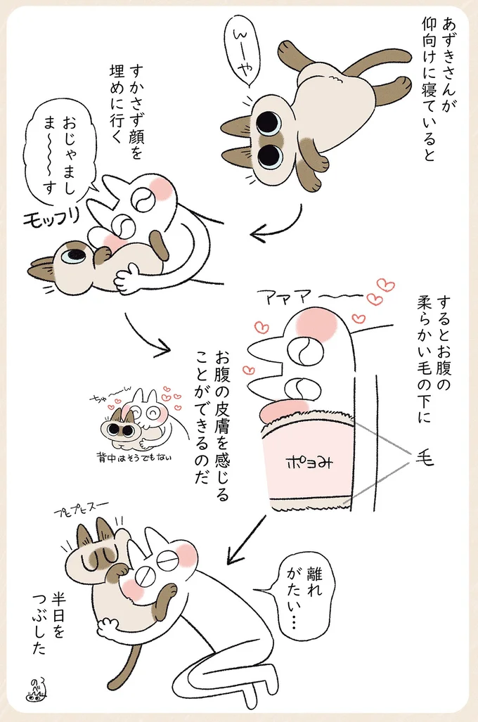 ポヨみ