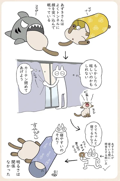 寝やすいのそれ？