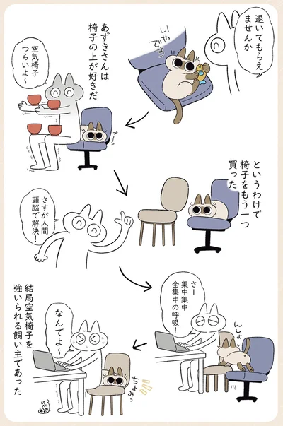 あずきさんは椅子の上が好きだ