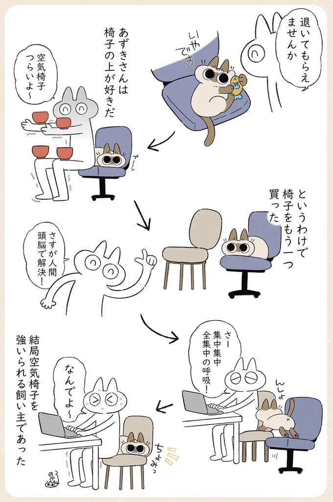 あずきさんは椅子の上が好きだ