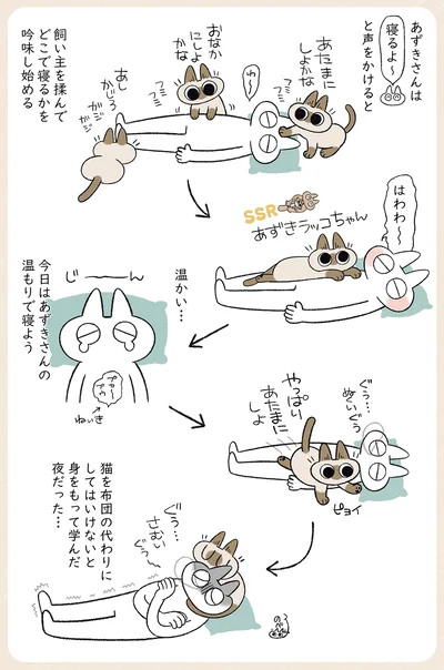 どこで寝るかを吟味