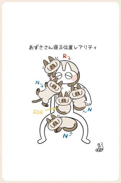 お腹の上はSSR