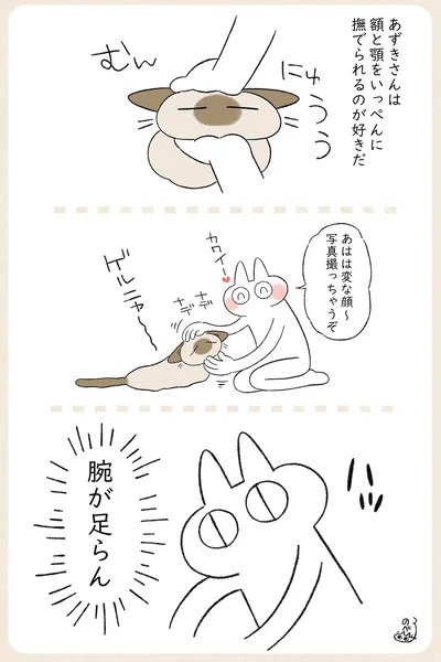 写真撮っちゃうぞ