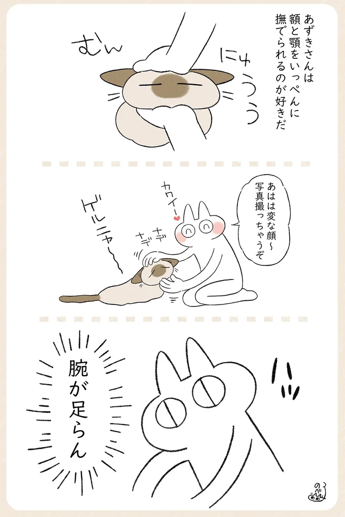 写真撮っちゃうぞ