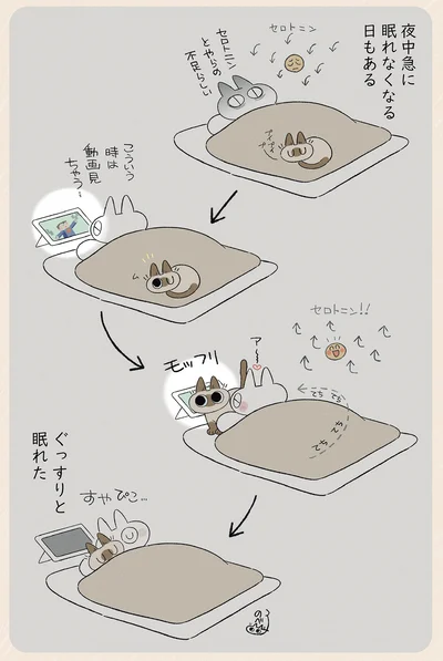 夜中急に眠れなくなる日もある