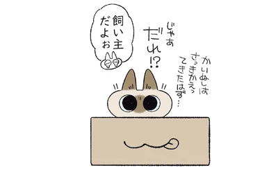 だれ!?