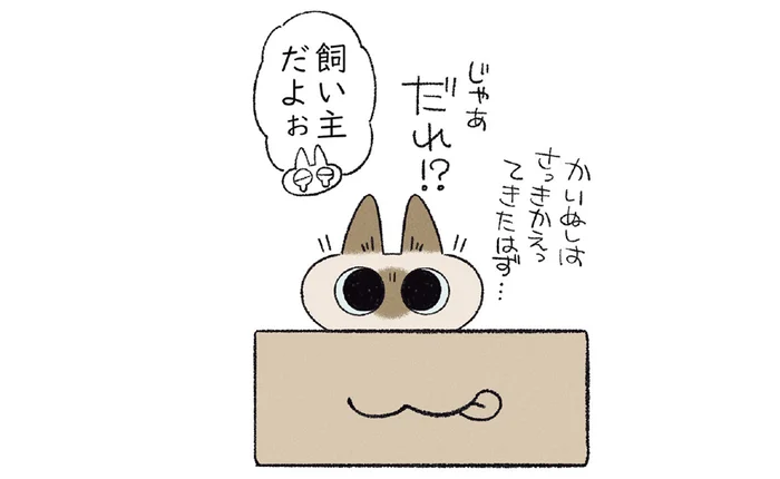 普段と違う時間に一度帰っただけなのに！ なぜか猫に警戒された日の話