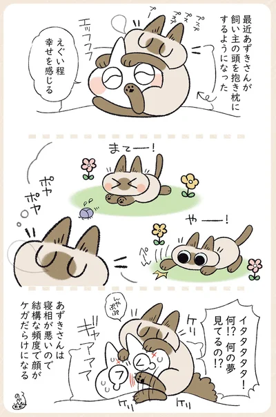 何の夢見てるの！？