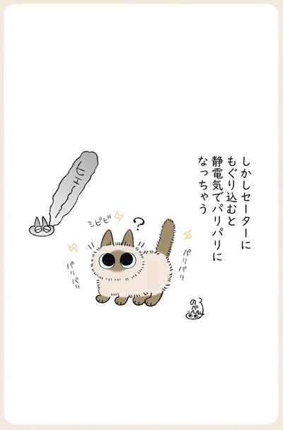 セーターにもぐり込むと