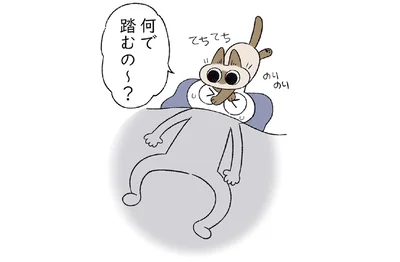 のりのり…