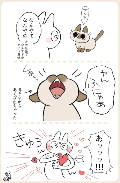 鳴きながらあくび出ちゃった