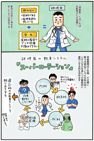 新卒の社会人と学生を混ぜたような存在です