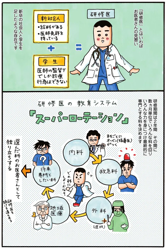 新卒の社会人と学生を混ぜたような存在です