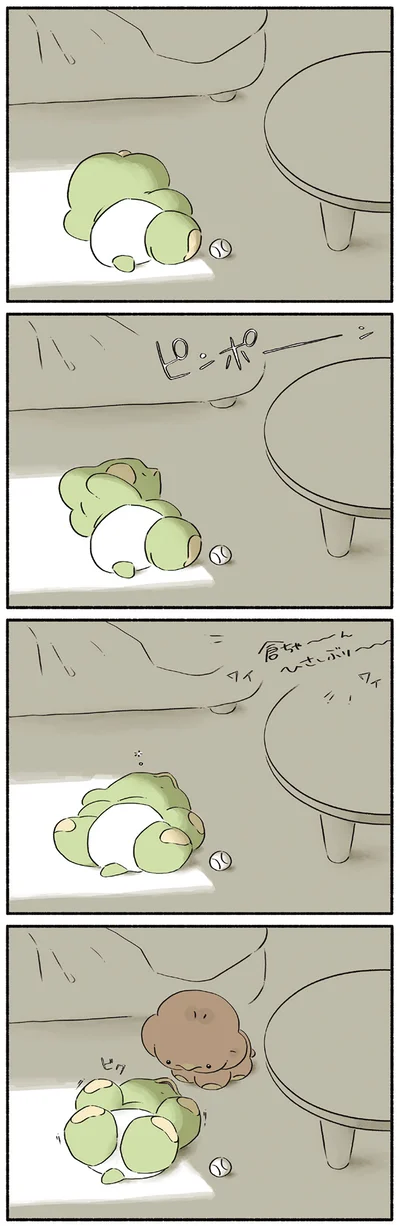 日向ぼっこ中に入ってきたのは