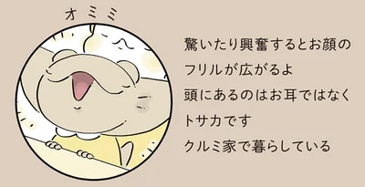 『恐竜はじめました3』より