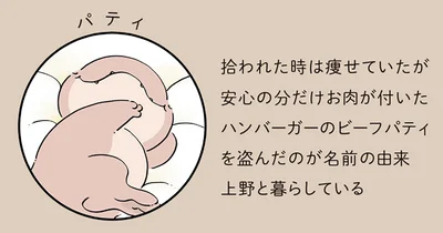 『恐竜はじめました3』より