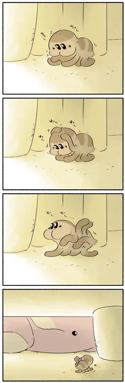 コマチに見つかったクモ