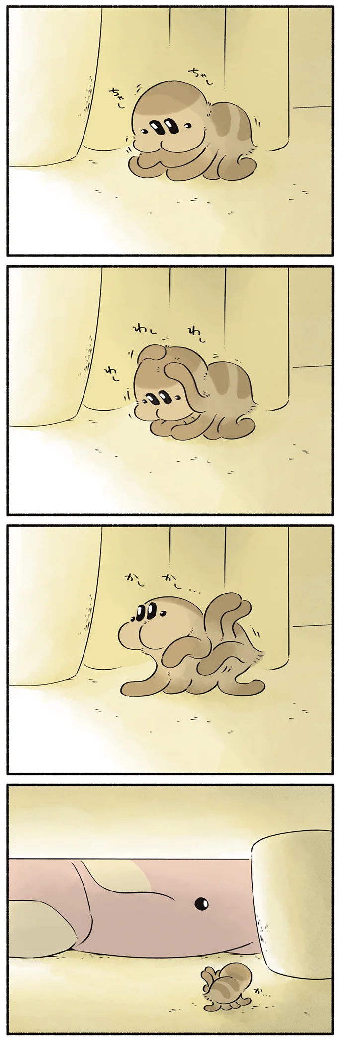 コマチに見つかったクモ