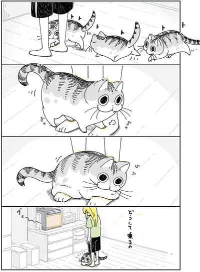 足元でアピールするネコ