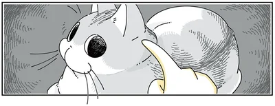 気づかれた…？
