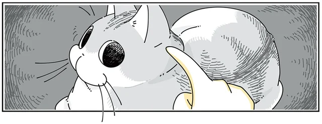 触られてるのは気にしてる？ 猫の後頭部にいたずら書き（？）をしたときの話
