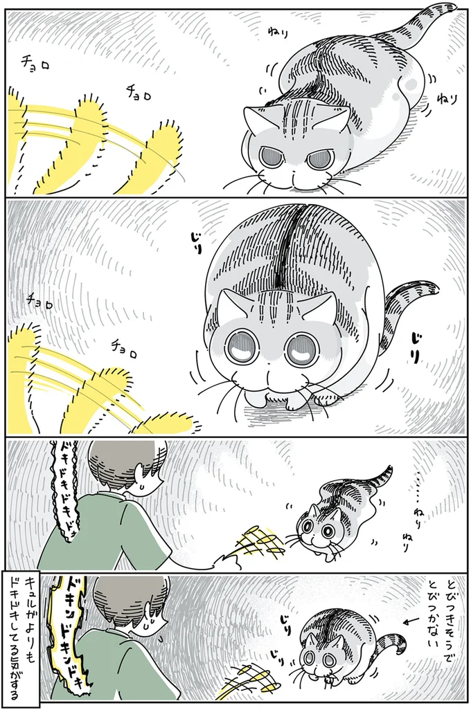 とびつきそうでとびつかない