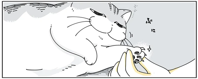 寝起きの今を狙え！ 爪切りを嫌がる猫を逃さないタイミングとは