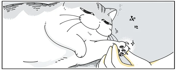 寝起きの今を狙え！ 爪切りを嫌がる猫を逃さないタイミングとは