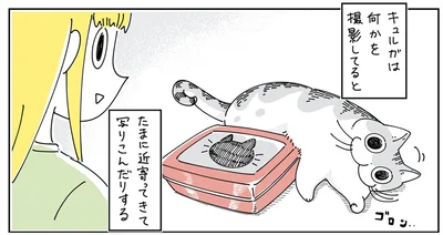 何かを撮影してると