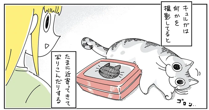 何かを撮影してると