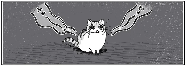 いつもより鳴き声が小さい。猫を閉め出してしまったかもと不安になる夜