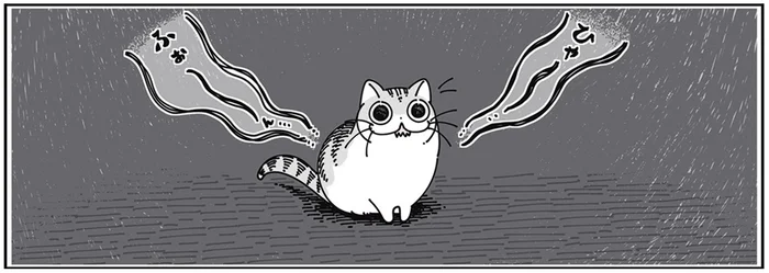 いつもより鳴き声が小さい。猫を閉め出してしまったかもと不安になる夜