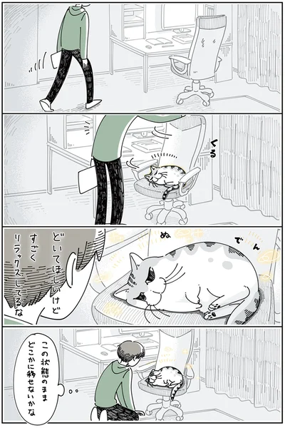 ネコを移す