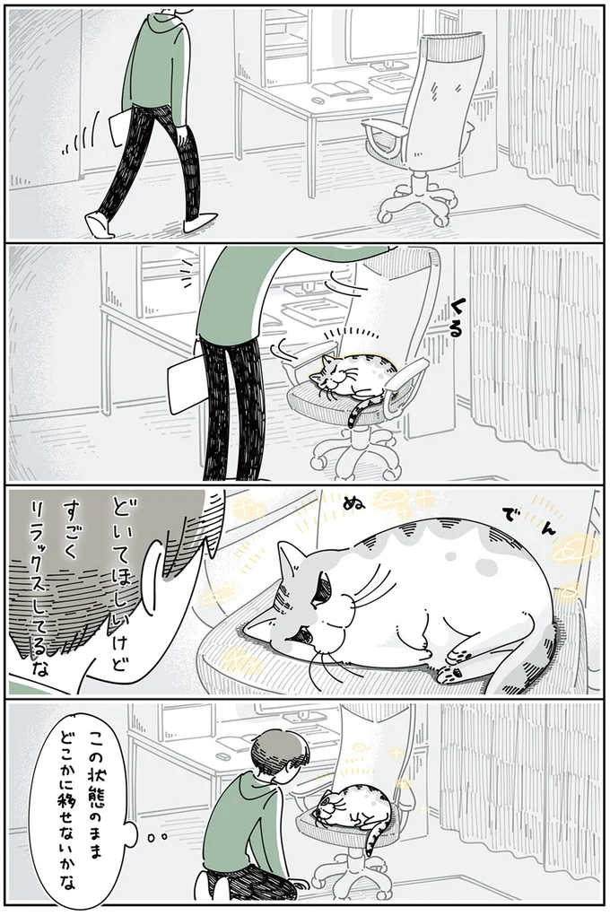 ネコを移す