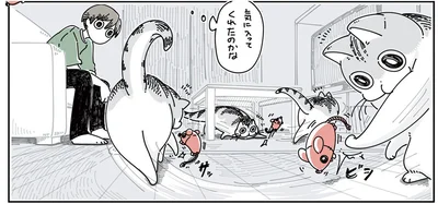 気に入ってくれたのかな