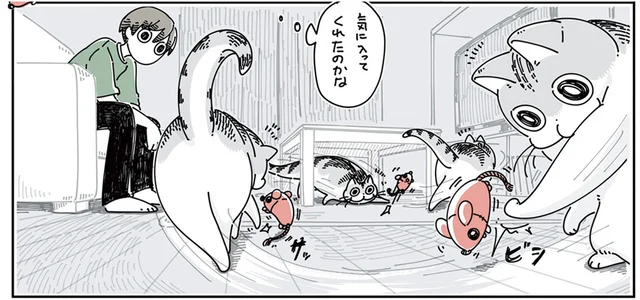 新しいおもちゃ、猫も気に入ってくれた？ しかし目を離すと別のもので遊んでる！