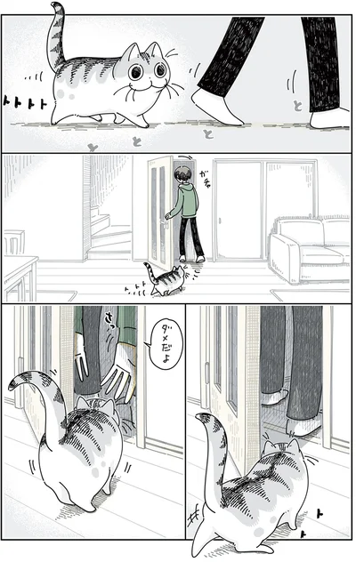 ドアをこじ開けるネコ