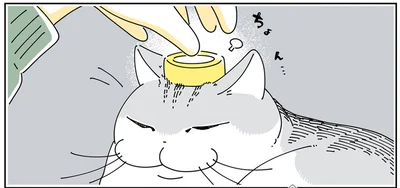 ちょん…