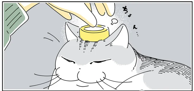 ちょん…