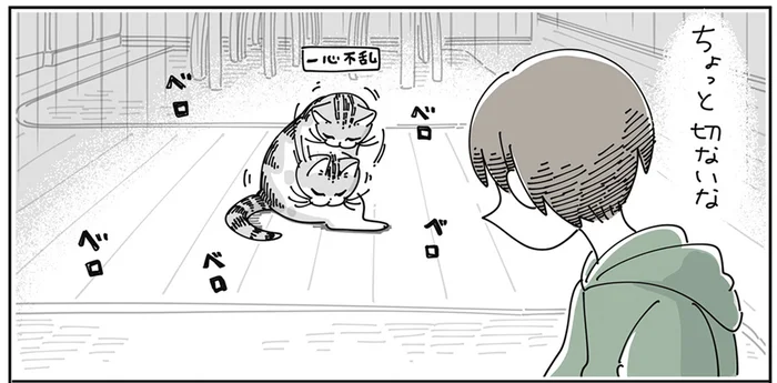 なでた所を猫が綺麗にしていて切ない。けれど、飼い主も似たような行動を取ってました