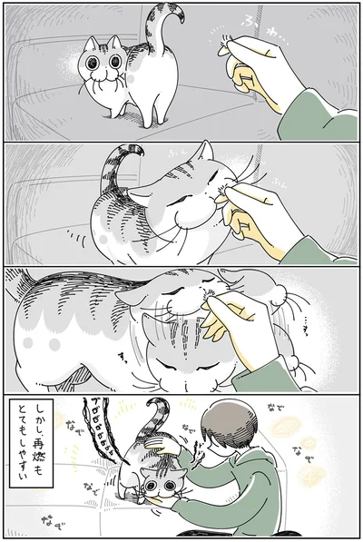 再燃もとてもしやすい