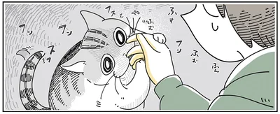 フンフンフン