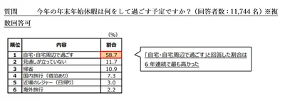今年の年末年始休暇は何をして過ごす予定ですか？