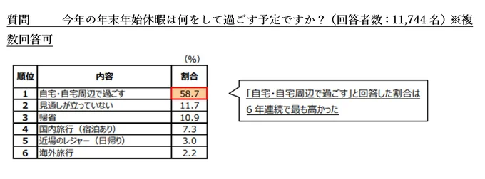 今年の年末年始休暇は何をして過ごす予定ですか?